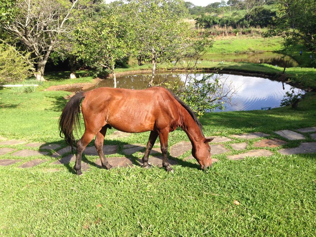 Aguas Vivas Hotel Fazenda Піренополіс Екстер'єр фото